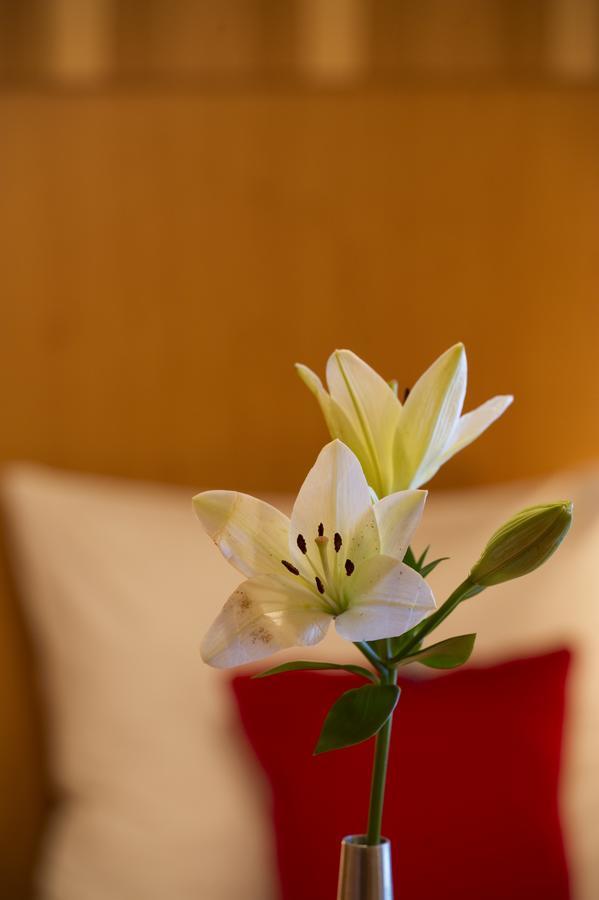 Pension Appartement Lanzer Moosburg Luaran gambar